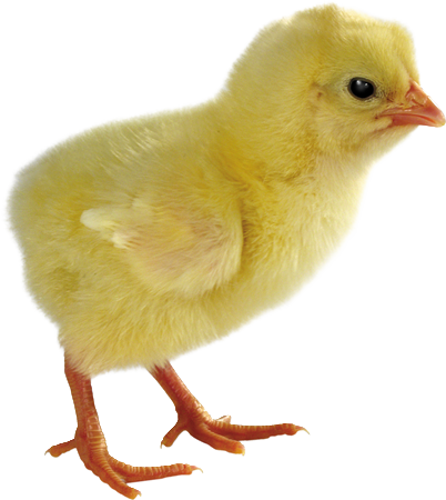 AGRO průmysl